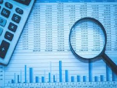 External Auditing/Investigation